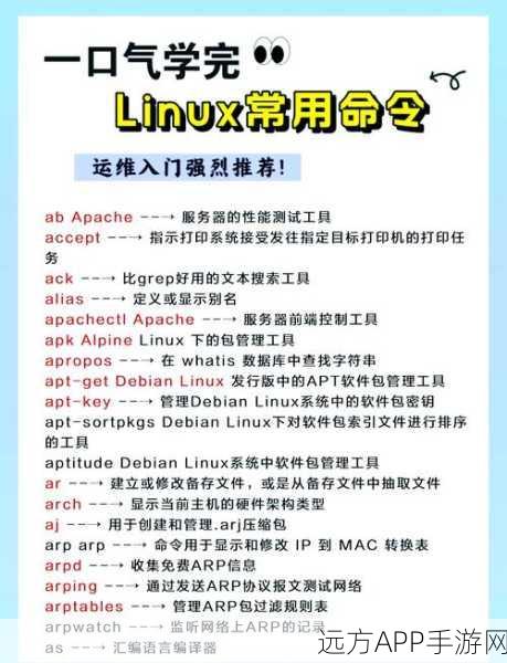 手游开发者必备，掌握bash argparse，解锁命令行参数解析新境界