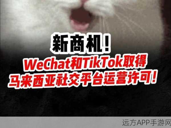 马来西亚新法下，微信与TikTok喜获运营许可，手游市场迎新机遇？