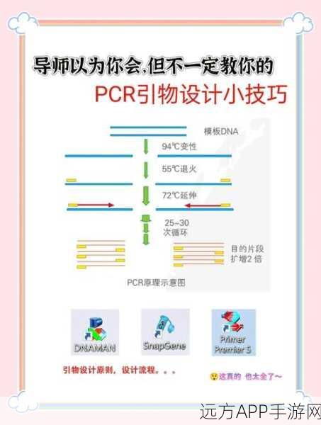 PCRE技术在热门手游开发中的实战应用与技巧揭秘