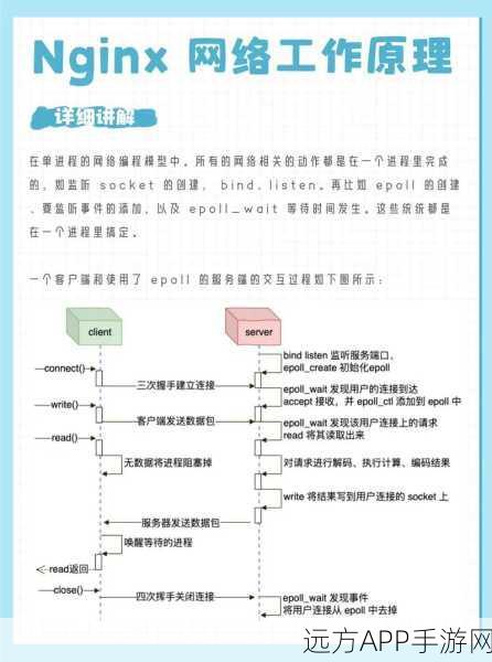 手游开发者必看，Nginx启动故障无此进程终极解决方案