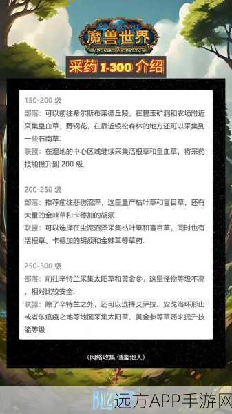 魔兽世界怀旧服，采药大师养成计划——全面解析升级攻略