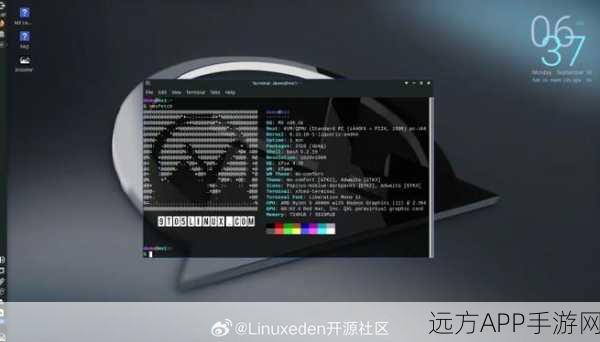 手游开发者必看，Linux内核新版本揭秘，助力游戏性能优化