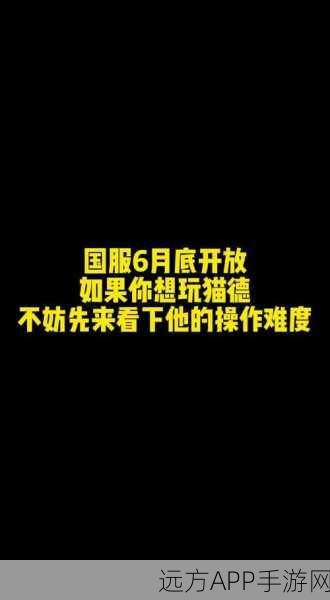 魔兽世界手游化前瞻，宏命令生成器助你从新手变老鸟