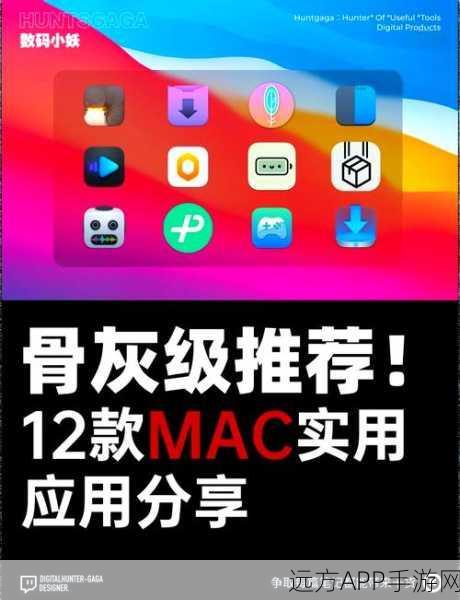 手游开发者必备！CodeLauncher，macOS上的Web后端开发进程管理利器