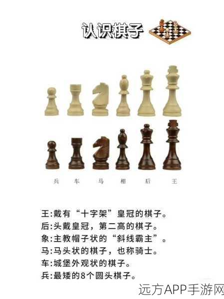 象棋新视界，揭秘国际象棋中象的吃法与经典战局