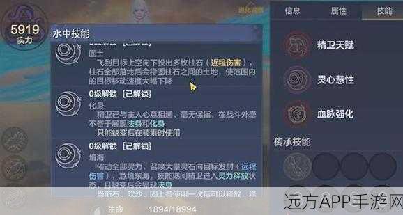 妄想山海精卫，实战绝技揭秘与竞技场制胜攻略