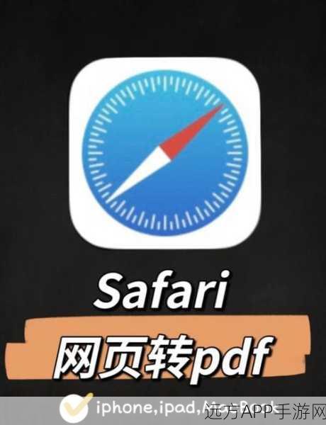 SafariSpeed大赛揭秘，探索浏览器优化的极致技巧与策略