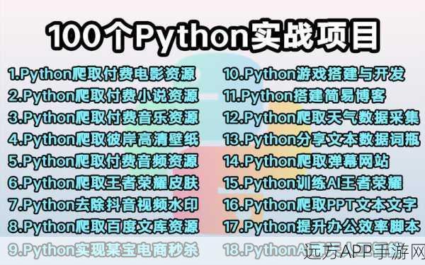 手游开发者必备，Python地址解析库在手游应用中的实战应用