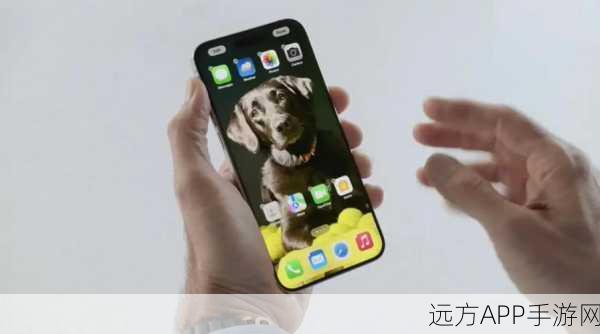 iOS18 AI功能大揭秘，苹果高管爱犬庆生照惊艳亮相