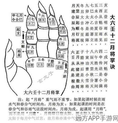 大掌门深度解读，六维解析，揭秘武侠江湖的掌权之道