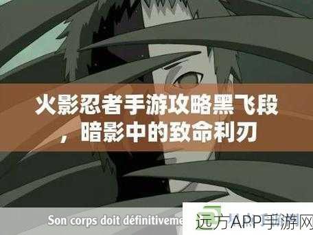 火影忍者手游飞段深度攻略，解锁不死之身的战斗奥秘