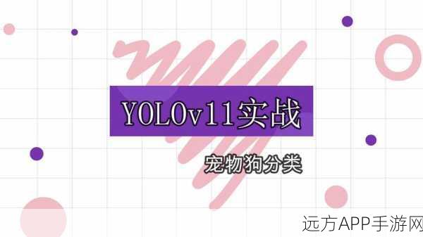 手游创新技术揭秘，YOLO算法+TensorFlow打造狗品种识别大赛亮点