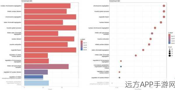 手游研发新突破，GO与KEGG富集分析在游戏角色基因功能设计中的应用揭秘