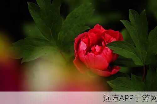 梦幻诛仙手游，揭秘逍遥涧牡丹采集地，探寻梦幻牡丹的绝美秘境