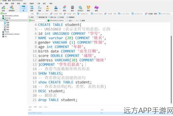 手游开发者必备，掌握MySQL DDL与DML，打造高效游戏数据库