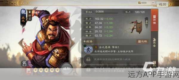 三国志战略版典韦最强阵容搭配攻略，揭秘无敌战斗组合