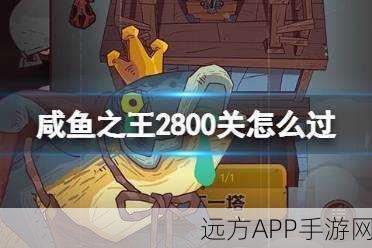 咸鱼之王，揭秘2800关通关秘籍与策略攻略