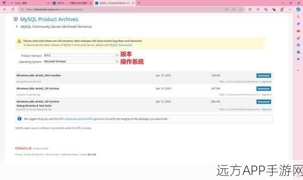 手游开发者必备！MySQL数据库实战技巧揭秘，助力打造顶尖游戏后台