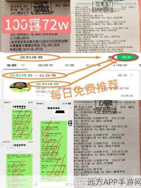 TNT vs 弹弹堂，2024新版爆料大比拼，谁将主宰弹射竞技？