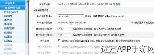 手游加速新利器，揭秘智能DNS系统wddns如何优化游戏体验