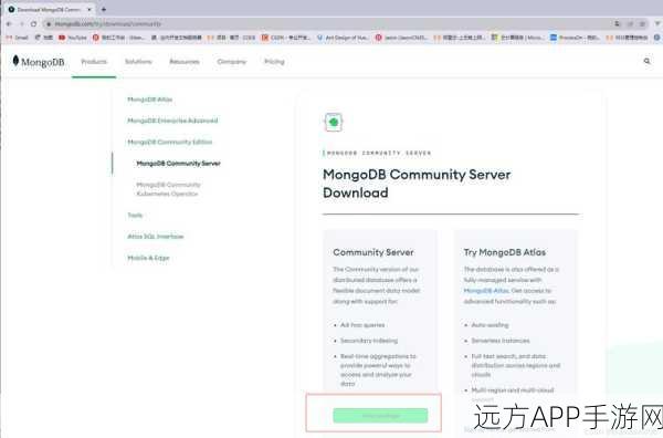 手游开发者必看，MongoDB入门实战，掌握匿名类型与JSON操作技巧