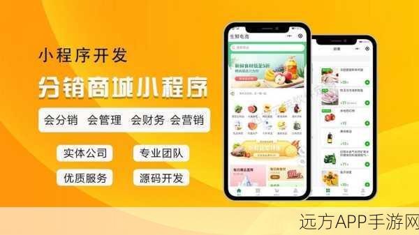 手游电商新纪元，Shopilex开源网店系统引领手游商品交易革新