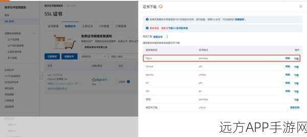 手游开发者必看，如何在Nginx服务器上安全部署SSL证书，提升游戏数据安全