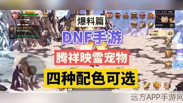 DNF手游强化宠物终极指南，揭秘顶级宠物强化之选