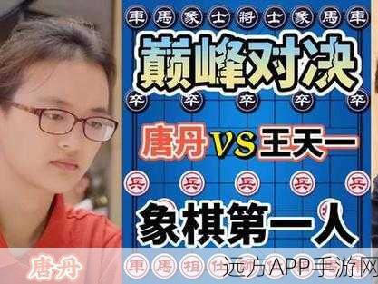 象棋巅峰对决！天天象棋310赛事全解析，棋盘上的智者荣耀之战