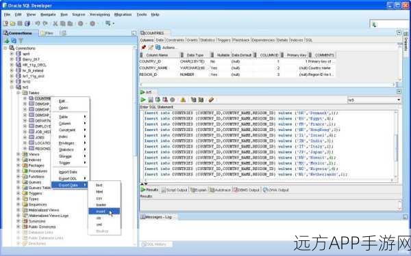 手游开发者必备，iPL/SQL Developer Web端，数据库管理新神器！