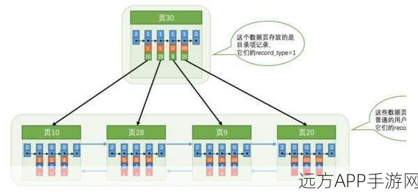 手游开发必备，揭秘InnoDB B+树索引，打造高效游戏数据库