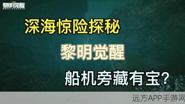 揭秘黎明之海亚历山大宝藏，详尽探秘攻略与寻宝挑战