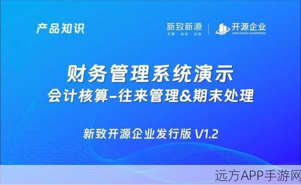 手游财务新宠，IPA软件——会计需求灵活应对的终极解决方案