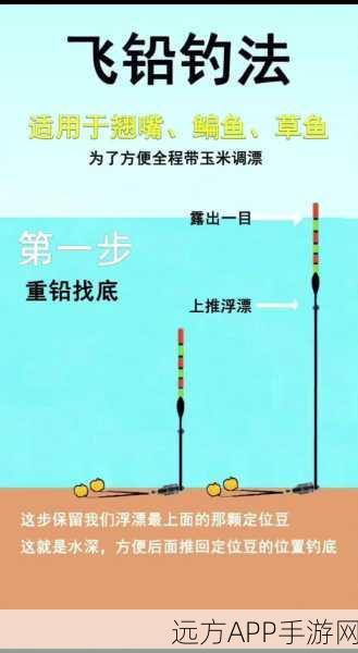 烟雨江湖垂钓秘籍，修炼方法与钓鱼大赛攻略全解析