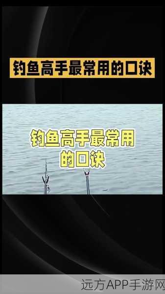 烟雨江湖垂钓秘籍，修炼方法与钓鱼大赛攻略全解析