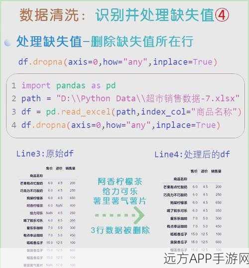 手游数据分析新利器，Python文本分析工具Wordsworth实战揭秘