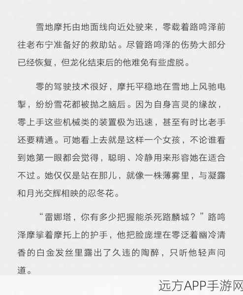 龙族传奇，一段史诗般的冒险故事