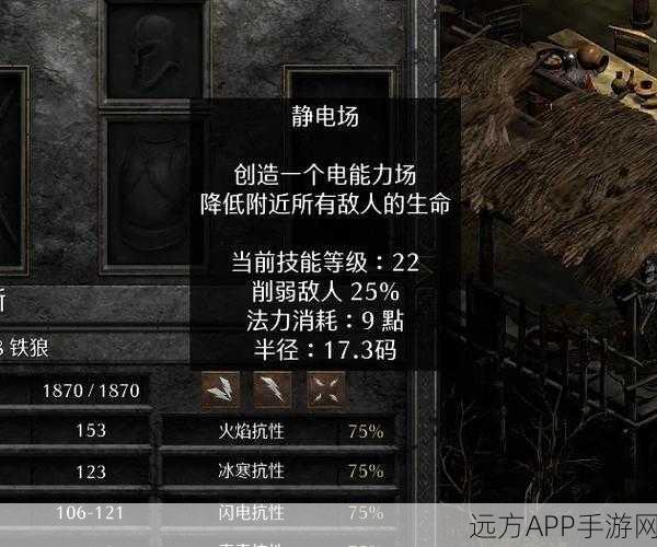 暗黑破坏神2，揭秘佣兵装备选择与搭配策略