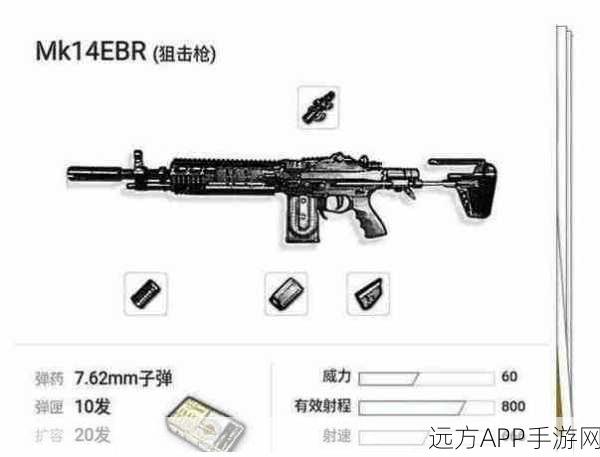 绝地求生，MK14步枪全面解析，伤害数据与实战技巧一网打尽