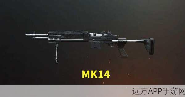 绝地求生，MK14步枪全面解析，伤害数据与实战技巧一网打尽