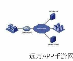 手游玩家必备神器，DDNS工具详解，助力游戏服务器稳定连接