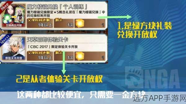 FGO深度解析，揭秘金方块获取途径与策略