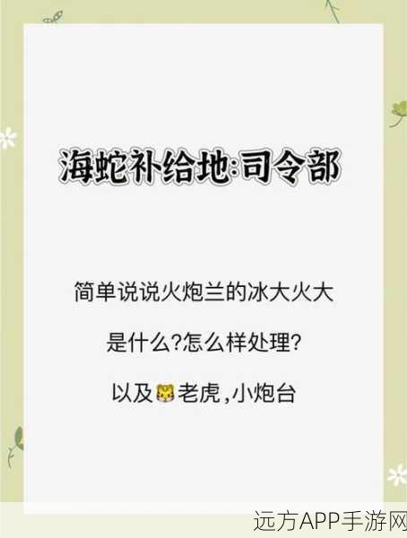 剑灵新版火炮兰副本全攻略，解锁高难挑战，速通秘籍大公开