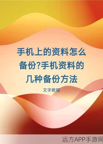 手游玩家必备神器，Burp数据备份与恢复工具全攻略