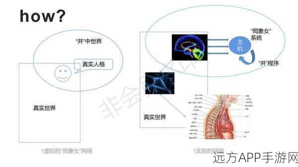 手游开发新纪元，React技术下的设计模式与竞技细节揭秘