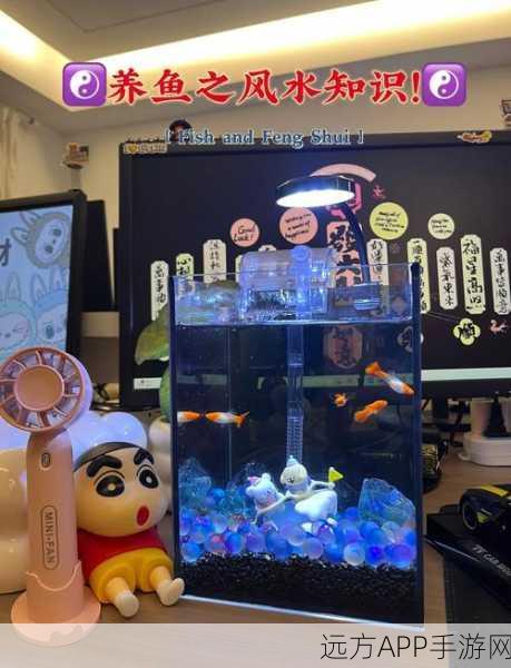 原神鱼跃龙门，揭秘观赏鱼养成秘籍，打造梦幻水族箱