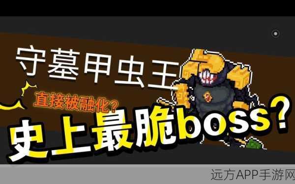独家揭秘,元气骑士高效征服守墓甲虫王,实战技巧与策略全解析