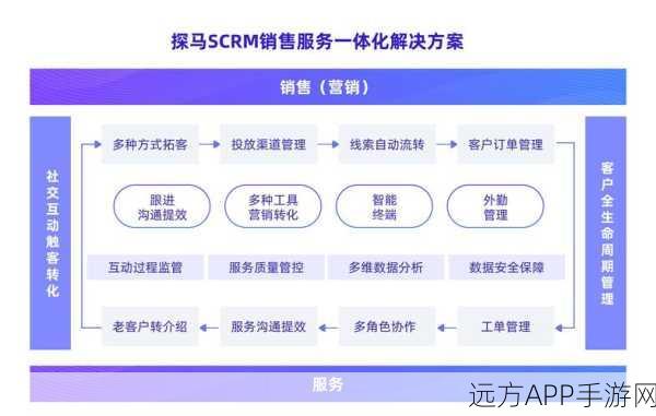 Cotable码厩安卓客户端，打造高效便捷的移动编码平台