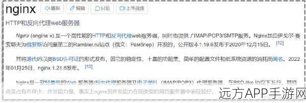手游服务器优化秘籍，Nginx反向代理助力带宽升级与下载加速